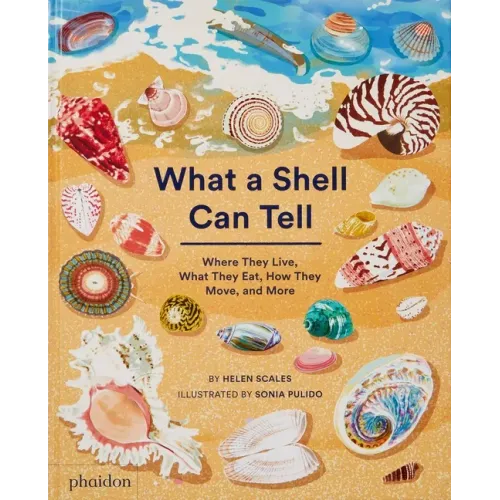 What a Shell Can Tell