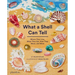 What a Shell Can Tell
