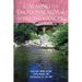 Calming The Emotional Storm Of Breast Cancer
