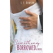Something Borrowed A Novel