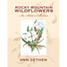 Rocky Mountain Wildflowers An Artist's Collection
