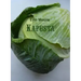 Kapusta