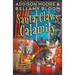 Santa Claws Calamity