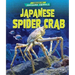 Japanese Spider Crab