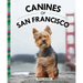 Canines of San Francisco