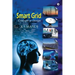 Smart Grid: Concepts To Design