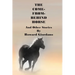 THE COME-FROM-BEHIND HORSE And Other Stories