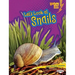 Let's Look at Snails