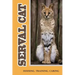 Serval Cat: Housing, Training, Caring: Care Guide For Serval Cat