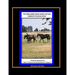 The Thoroughbred Female Families That Have Dominated The Racing World