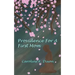 Providence for a First Mom