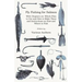 Fly Fishing for Salmon - With Chapters on: Which Flies to Use and How to Make Them and Instructions on How and Where to Fish