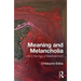 Meaning and Melancholia: Life in the Age of Bewilderment