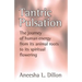 Tantric Pulsation