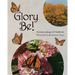 Glory Be!