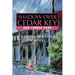 Shadow Over Cedar Key: A Brandy O'Bannon Mystery