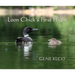 Loon Chick's First Flight