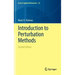 Introduction to Perturbation Methods