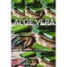 Aloe Vera Medicine: Medicines of The Prophet