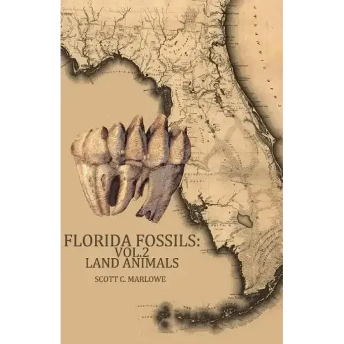 Florida Fossils: Land Animals