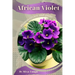 African Violet: Plant overview and guide