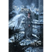 The Snow Crow