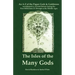The Isles of the Many Gods: An A-Z of the Pagan Gods & Goddesses worshipped in Ancient Britain during the First Millennium CE through to the Middle Ag