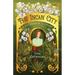 The Incan City: A Tess Neubauer Adventure