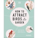 How to Attract Birds to Your Garden: Foods They Like, Plants They Love, Shelter They Need