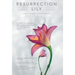 Resurrection Lily: The Brca Gene, Hereditary Cancer & Lifesaving Whispers from the Grandmother I Never Knew