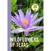 Wildflowers of Texas