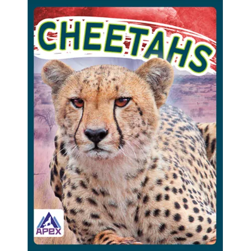 Cheetahs