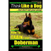 Doberman Pinscher, Doberman Pinscher Training AAA AKC: Think Like a Dog, but Don't Eat Your Poop! Doberman Pinscher Breed Expert Training: Here's EXAC