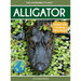 Alligator: Fascinating Animal Facts for Kids