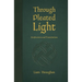 Through Pleated Light
