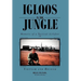 Igloos in the Jungle: Memoirs of a Tactical Airlifter in Vietnam and Beyond