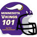Minnesota Vikings 101