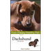 Dachshund: Your Happy Healthy Pet