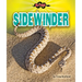 Sidewinder