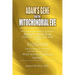 Adam's Gene and the Mitochondrial Eve