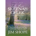 Tales From Skeenah Creek: A Civil War Historical Fiction Novel