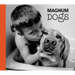 Magnum Dogs