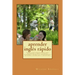 aprender inglés rápido: Cursos para principiantes, para recuperar el nivel y de nivel intermedio, gramática, entrenamiento de verbos, vocabula