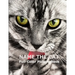 Name The Cat Full-Color Picture Book: Cute Adorable Cats Picture Book for Children, Seniors and every Cat lovers