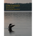 Ontario Wildlife Photography