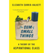 The Sum of Small Things: A Theory of the Aspirational Class