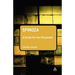 Spinoza: A Guide for the Perplexed