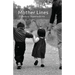 Mother Lines
