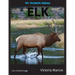 My Favorite Animal: Elk