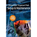 Essential Tropical Fish: Setup & Maintenance Guide